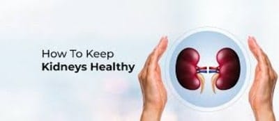 6 Essential Diet Tips for Maintaining Healthy Kidneys