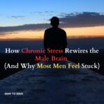 How Chronic Stress Rewires the Male Brain